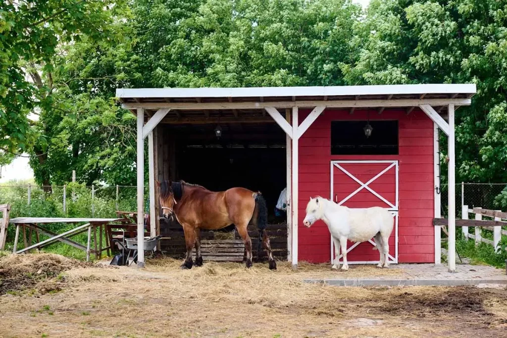 Post Frame vs. Pole Barn Buildings: What's the Difference? Traditional horse barn with open front and livestock.