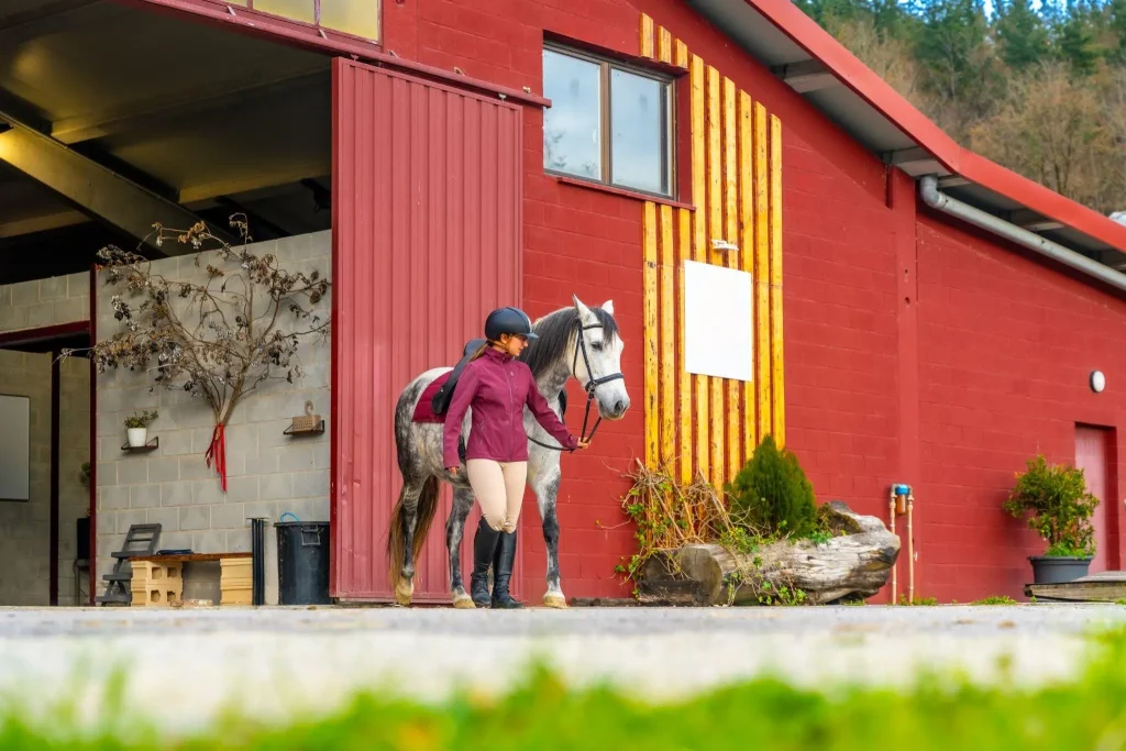 Barn kit horse barns Montana facility with a rider leading a gray horse outside a red equestrian barn.